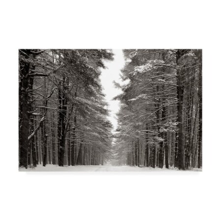 James Mcloughlin 'A Snowy Walk Iv' Canvas Art,16x24